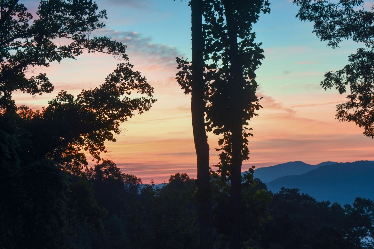 Sunrise on White Oak Mountain July 2023