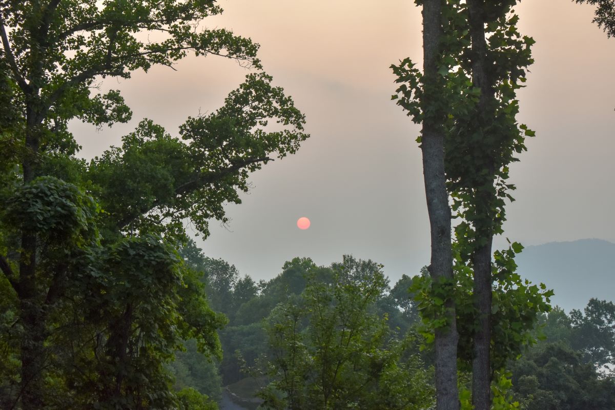 Sunrise on White Oak Mountain July 2023